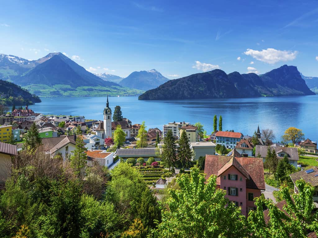 Vehicles being serviced